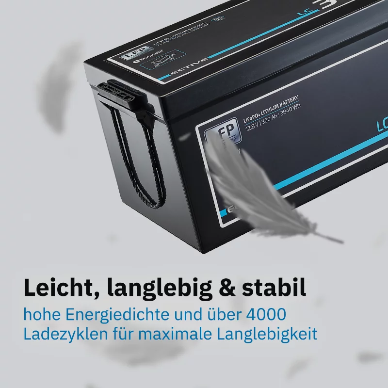 Lithium Versorgungsbatterie 300Ah LC 300L LT Slim 12V LiFePO4 – Bild 2