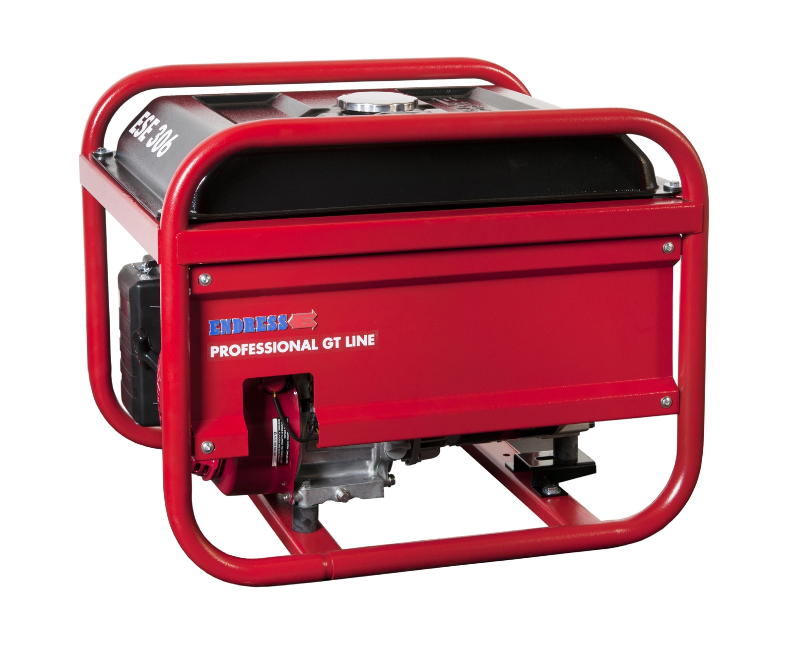Endress ESE 306 HS-GT